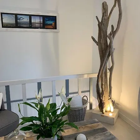 La Maison Du Bois Flotté Hébergement de vacances
